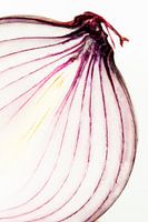 Stillleben der roten Zwiebel