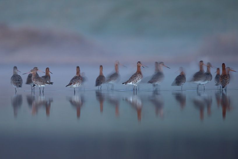 Grutto's by Erik van Velden