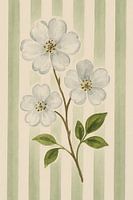 Weiße Blume auf gestreiftem Hintergrund