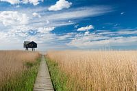 La maison des oiseaux comme marqueur dans le paysage de Groningue