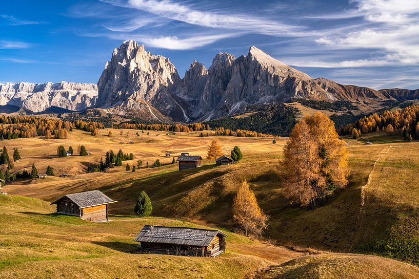Gouden herfst op de Alpe di Siusi in Zuid-Tirol van Achim Thomae Photography