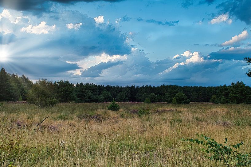 Morgen in der Natur von Jolanda de Jong-Jansen