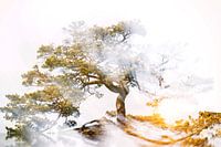 Baum mit strahlender Kraft im Sonnenuntergang