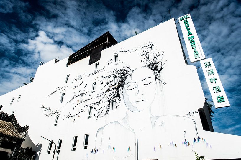 Frauenporträt an einer Wand von Ellis Peeters