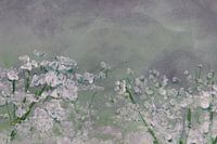 Une parmi tant d'autres...3