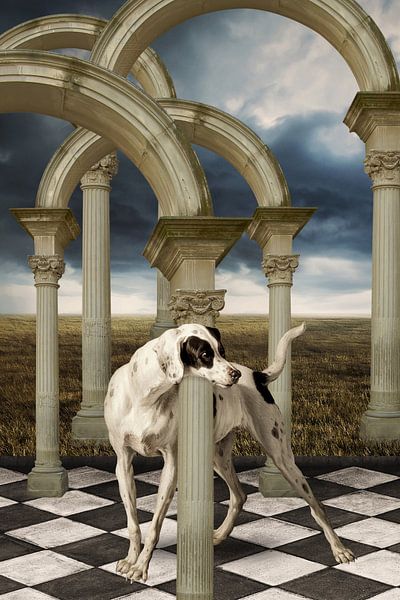 Confused by Marja van den Hurk