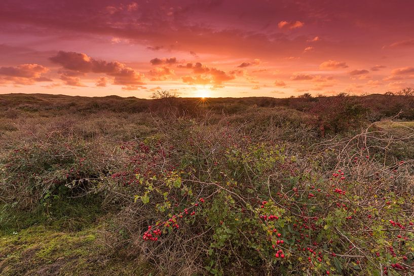 Sonnenuntergang in den Dünen von Texel von Rob Kints
