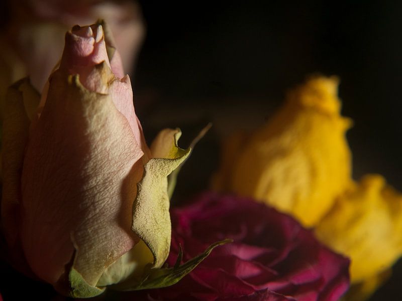 Melancholy and past beauty #7 by Marcel Admiraal