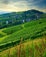 Black Forest, Sasbachwalden II