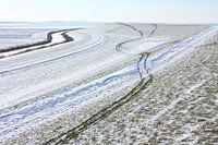 Tire tracks on a snow-covered seawall
