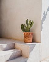 Spanische Architektur