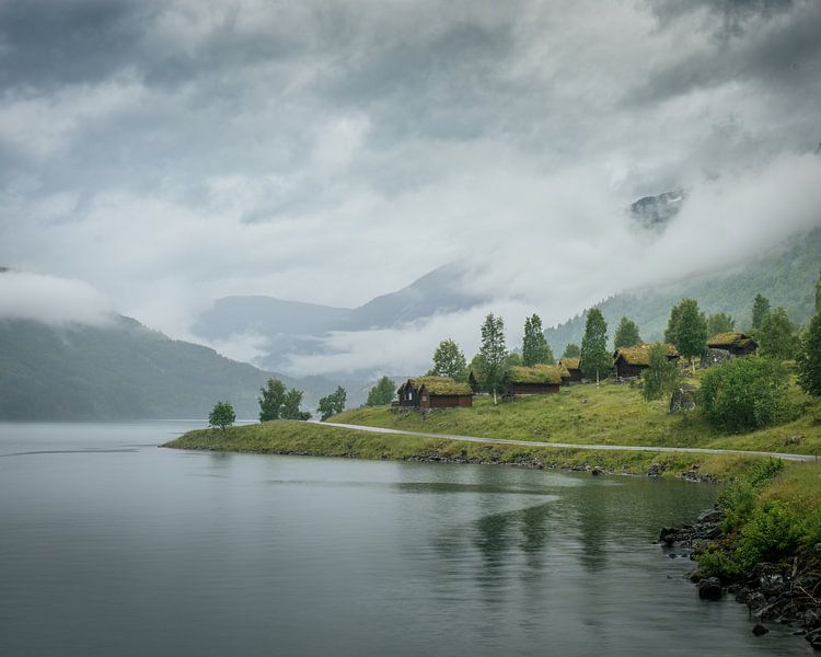 Bringt Setter von Caatje Clicks