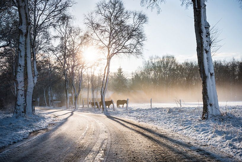 Lever de soleil d'hiver Dwingelderveld par Volt