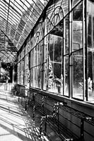 Greenhouse in the botanical garden of Palermo
