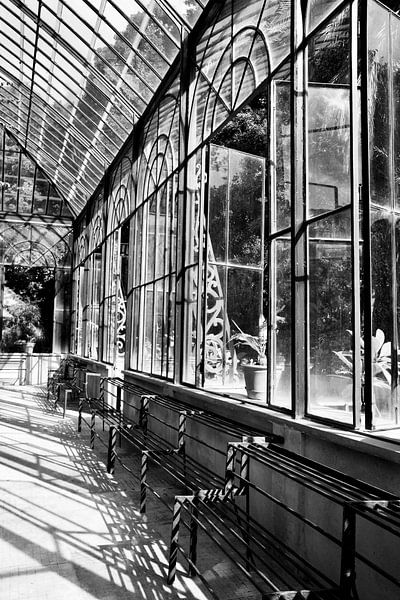 Greenhouse in the botanical garden of Palermo by Sven Zoeteman