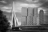 Tussen Brug en Wolkenkrabber