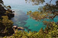 Bucht an der Cote d'Azur in Frankreich