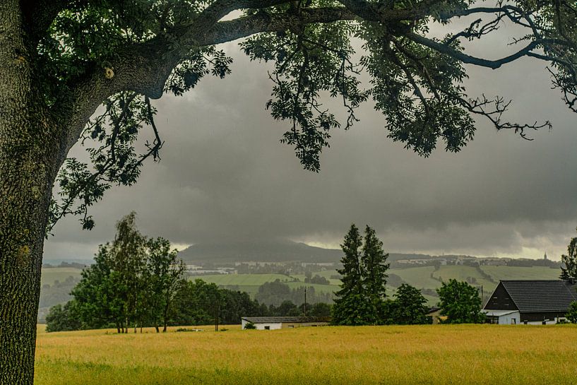 En route dans la nature par Johnny Flash
