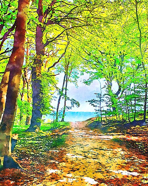 Nationalpark Jasmund, Motiv 1 von zam art