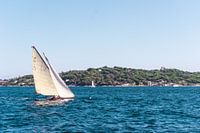 White classic sail boat during sailing regatta