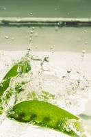 Sugar peas fall into the water 3