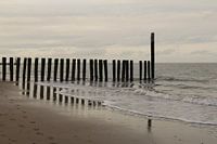 paysage de mer avec reflet des poteaux de plage sur la plage de sable dans l'eau de mer