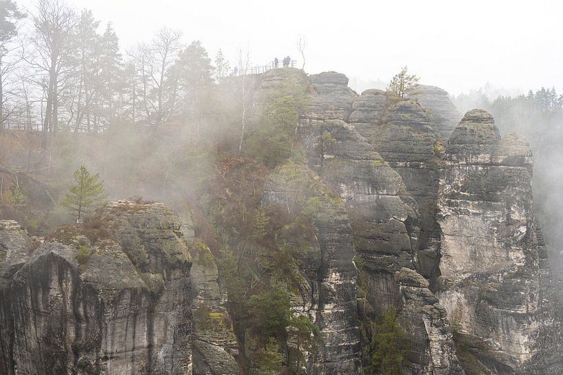 Sandstone Rocks in the Nebel- Saxon Switzerland National Park by Holger W. Spieker