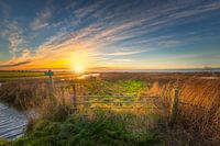 Zonsopkomst in de polder van Schellinkhout, gelegen aan het Markermeer