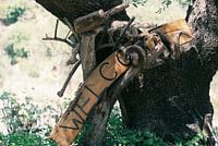 Bienvenue ! (film 35mm)