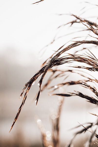 Arbeiten in der Landschaft 8 von Nieta Karsten