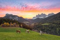 Sunrise in Val di Funes