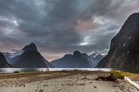 Milford Sound en début de soirée