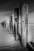 Die Linien der Wellenbrecher