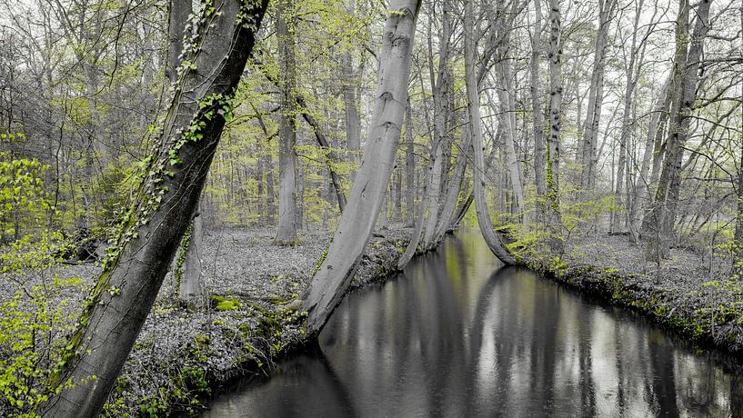 Oelerbeek bei Delden. von Jaap Bosma Fotografie