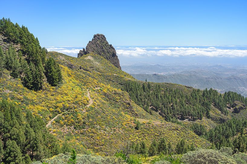 Mirador Caldera los Marteles Gran Canaria by Michael Valjak
