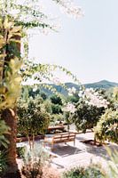 Stoel op het terras | Marokkaanse reis fotografie