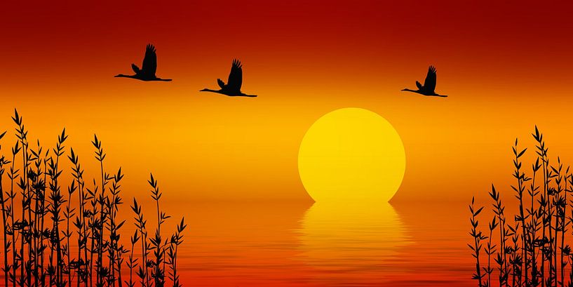 Sonnenuntergang von Violetta Honkisz