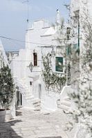 Die Schönheit von Ostuni