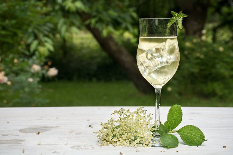 soft drink with ice cubes from elderflower syrup, juice, champagne, soda and mint in a glass on a wh by Maren Winter