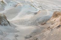 Bildung von jungen Dünen