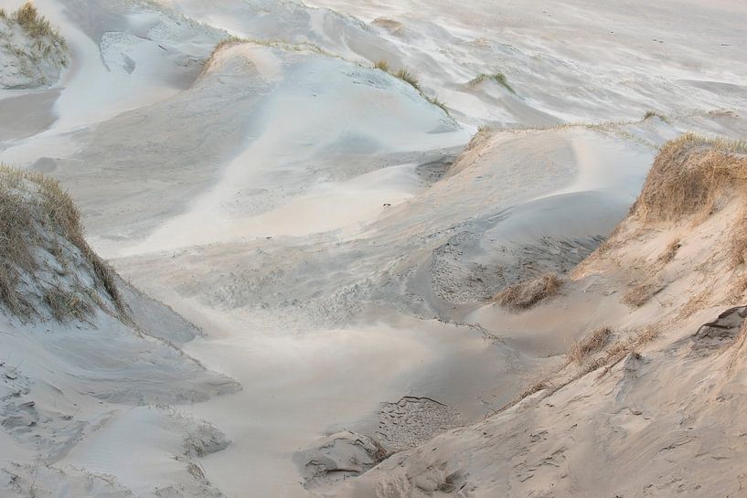 Bildung von jungen Dünen von Leendert Noordzij Photography