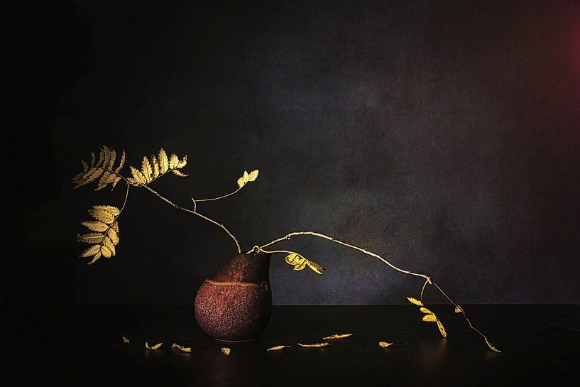 Zen still life . Autumn atmosphere. by Saskia Dingemans Awarded Photographer