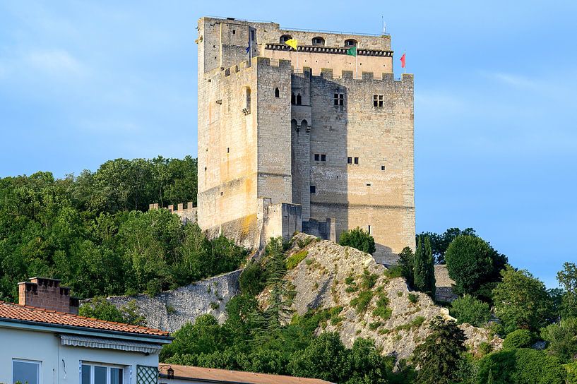 Donjon of Crest by Peter Bartelings