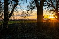 Coucher de soleil à Westerwolde