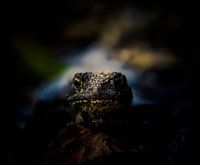 Look each other in the eye