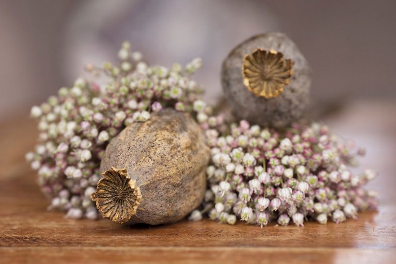 Dry flowers on an old, wooden table by Birgitte Bergman