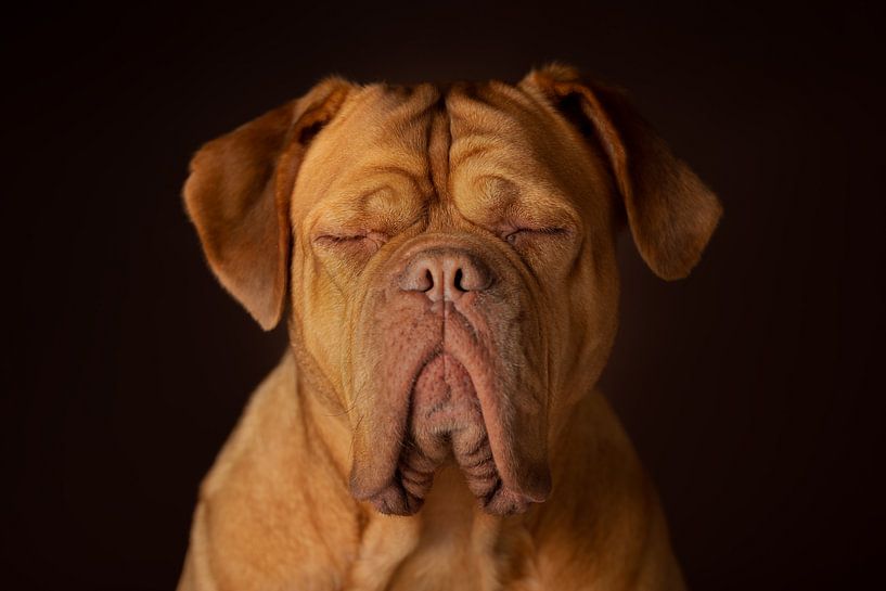 Zen von Patrick Reymer