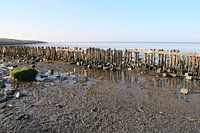 Moddergat, Waddenzee
