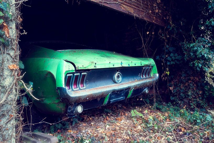 Abandoned Ford Mustang in a Garage. by Roman Robroek - Photos of Abandoned Buildings