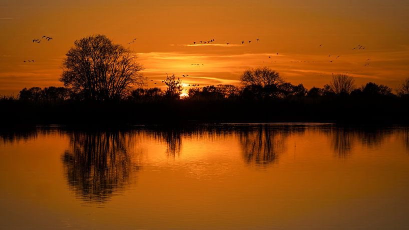 Sonnenuntergang Rohrammer Wildervank von R Smallenbroek